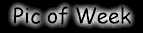 Foto der Woche - Picture of the Week