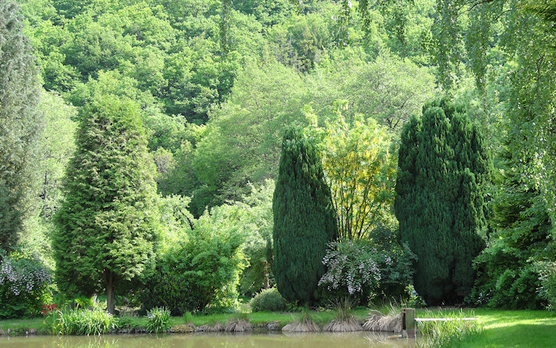 Detzem, Trier, Mosel, Fell 2010