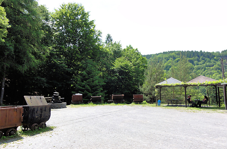 Detzem, Trier, Mosel, Fell 2010