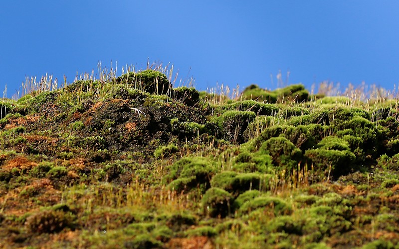 LaPaDu