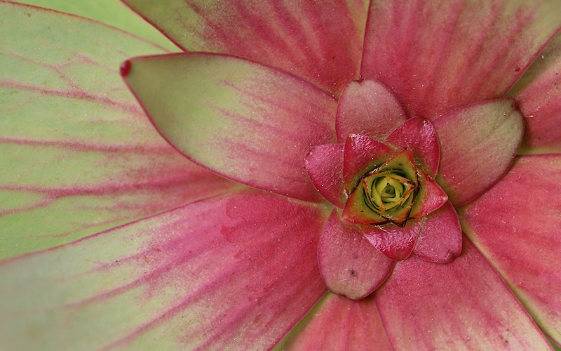 D�sseldorf per pedes, September 2014