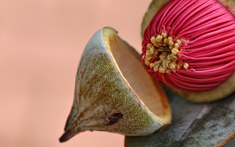 D�sseldorf per pedes, September 2014