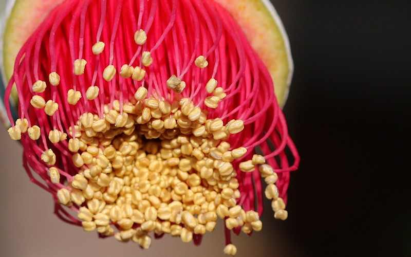 D�sseldorf per pedes, September 2014