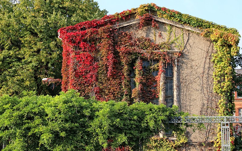 Berlin, Oktober 2014