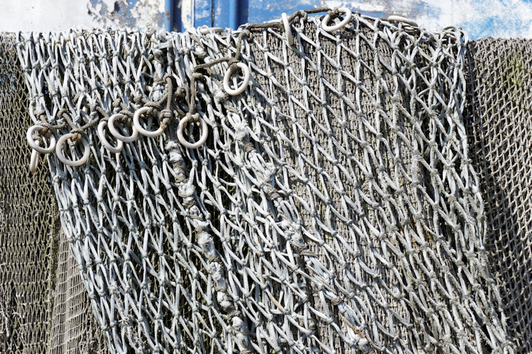 L�becker Bucht - August 2016 - Klaus Schachtschneider