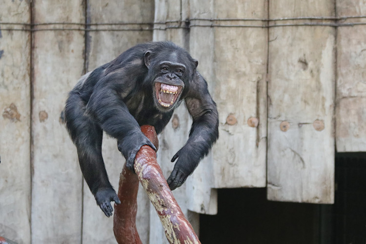 Krefeld - Dezember 2016 - Klaus Schachtschneider
