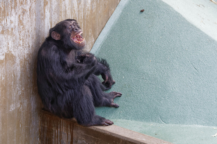 Krefeld - Dezember 2016 - Klaus Schachtschneider