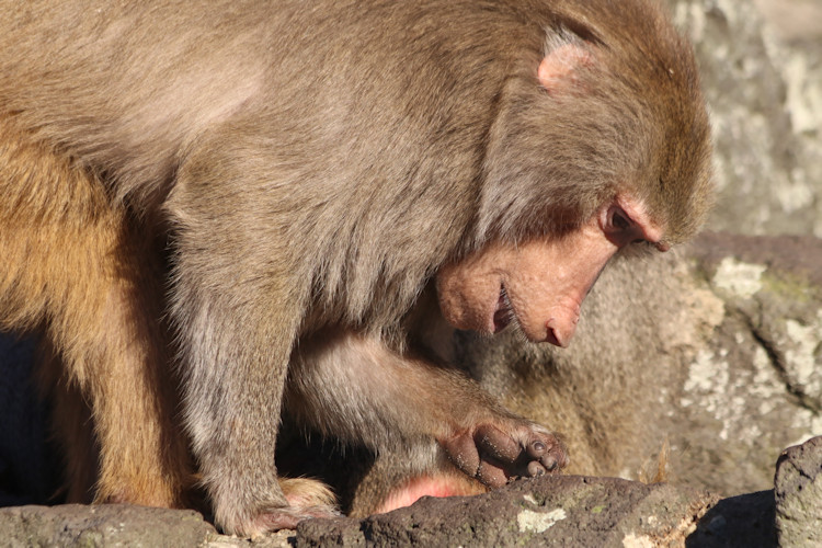 Krefeld - Dezember 2016 - Klaus Schachtschneider